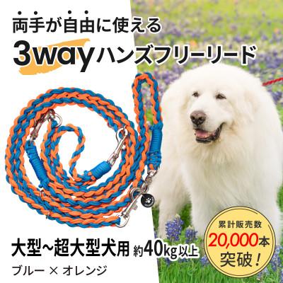 ふるさと納税 掛川市 【犬用】3WAYハンズフリーリード(大型〜超大型犬用)ブルー×オレンジ【ゴールデンママ】