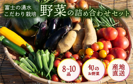 野菜 特別栽培 8 ～ 10品 セット 野菜 沼津市 やさい