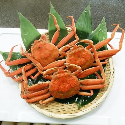 ふるさと納税 射水市 香箱がに大サイズ3尾(計約600g)