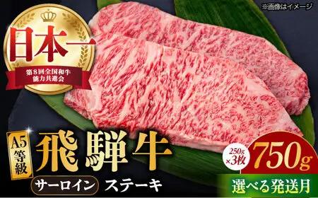 【10月発送】【飛騨牛】 A5等級 サーロイン ステーキ用 3枚 (計750g) 和牛 ブランド牛 国産 牛肉 多治見市 / 渡辺精肉店 [TAZ001-10]