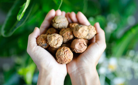 Natural Essence TAMANU 沖縄県産タマヌオイル フローラルグリーンの香り 10ml (約30日分) 美容オイル 美容液 スキンケア 保湿 化粧品 沖縄市 / 株式会社すまエコ[BC