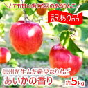 【ふるさと納税】傷等訳あり・ご家庭用　甘い!希少!りんご　幻のあいかの香り　5キロセット（りんご・リンゴ・林檎）　長野県　伊那市　あいかの香り　5キロ　5kg　与古美