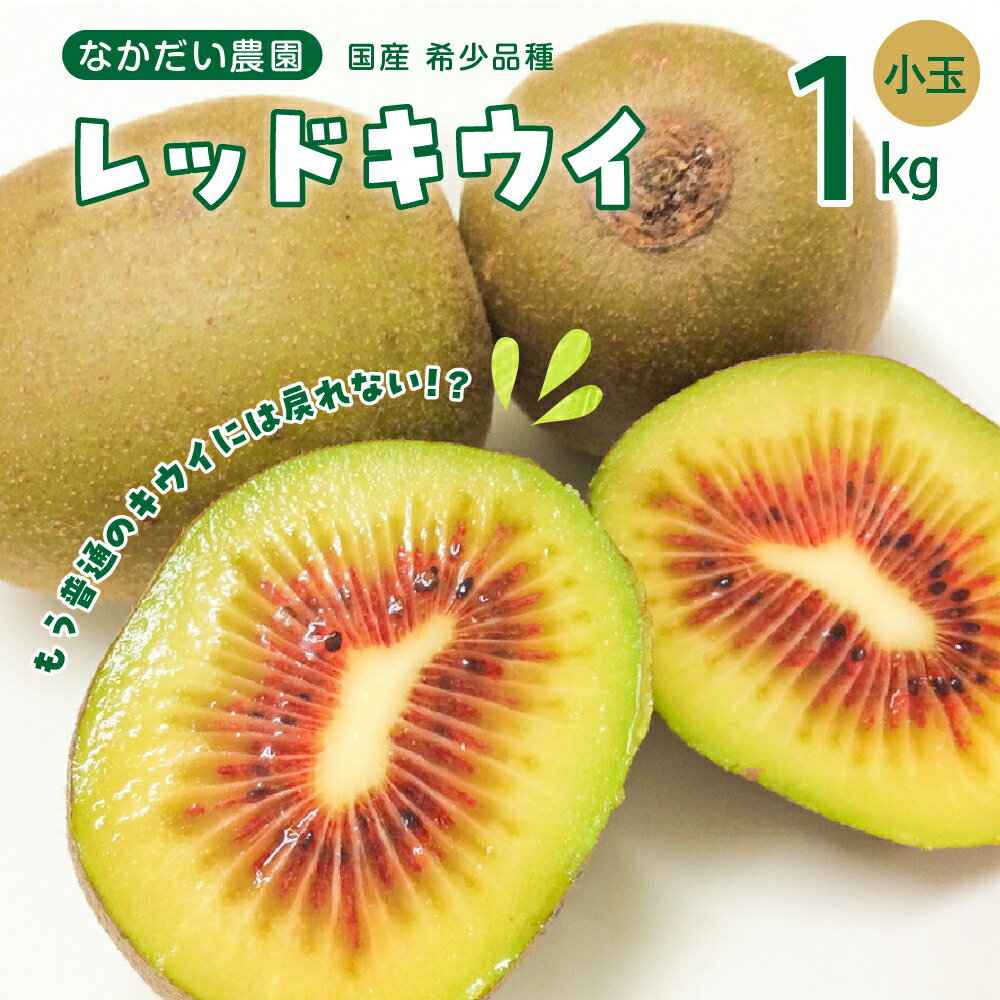 【ふるさと納税】【 2025年 9月 下旬～発送】【小玉】希少品種「 レッドキウイ 」国産 約1kg 珍しい品種 栽培期間中 防腐剤 化学肥料 農薬不使用 キウイ キウイフルーツ フルーツ 果物 甘い 糖度 18度 19度 20度 食べきりサイズ お取り寄せ 国産 暑さ 対策 広島県 呉市