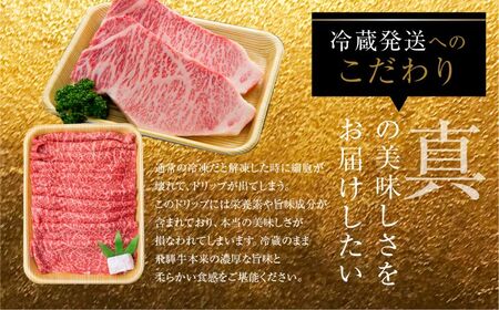 飛騨牛サーロインステーキ 計600g(4枚) 国産牛 国産 牛肉 肉 厳選 熟成 贈答用［Q883］