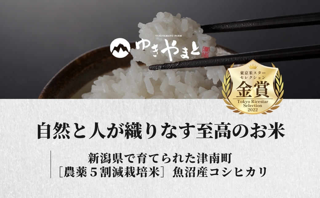 【3ヶ月定期便】【令和7年産】魚沼産  特別栽培米 コシヒカリ「ゆきやまと」10kg (5kg×2袋) ※節減対象農薬当地比5割減 ※東京米スターセレクション金賞受賞| こしひかり お米 おこめ こめ
