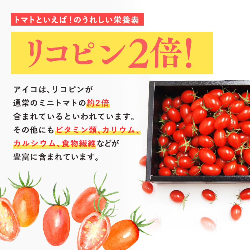 ≪7月以降順次発送≫ 高糖度 ミニトマト [アイコ] 約1kg トマト とまと プチトマト 高品質 野菜 やさい 減農薬 お取り寄せ 青森県 平川市 平川 【hi-0016-003】