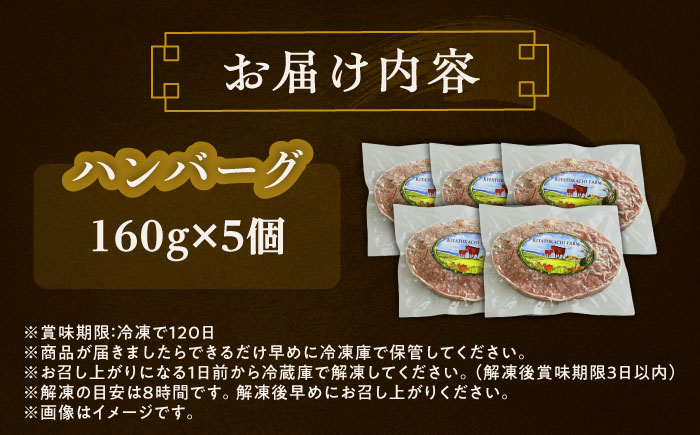 北海道 北十勝 短角牛 ハンバーグ 160g×5《足寄町》【北十勝ファーム有限会社】 [BEAI089]