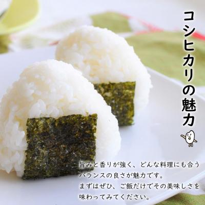 ふるさと納税 境町 【令和7年産】 境町 白米 「コシヒカリ」 20kg(10kg×2袋) 数量限定 |  | 01