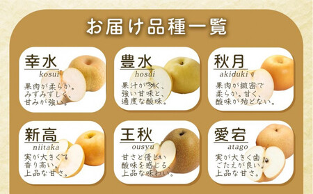  【産地直送】筑前町の豊かな自然の中で育まれた梨　約3kg(5玉～9玉)