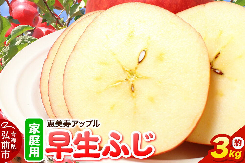 【26年10月発送】りんご【一足早くふじの味・早生ふじ】早生ふじ【家庭用】約3kg 先行受付 青森県 弘前市 果物 フルーツ 林檎 リンゴ くだもの 不揃い 規格外 [先行予約 産地直送 アップル お