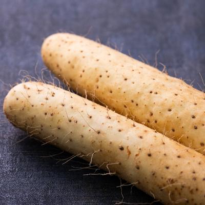 ふるさと納税 青森市 青森県産「ながいも」約3kg(L〜2Lサイズ)×4本入り) |  | 01