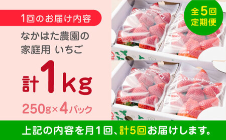 【先行予約】【2025年12月より順次発送】【全5回定期便】いちご 4品種 食べ比べ セット 250g×4P 【なかはた農園】[YBI061]
