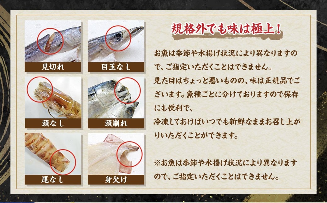 【全6回定期便】長崎出島屋お任せ 訳あり 干物 24枚  ／ わけあり ワケアリ 理由あり ひもの 海産物 魚介 魚 お魚 魚 長崎県 長崎市