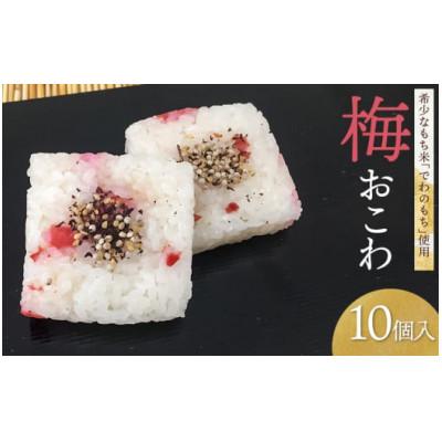 ふるさと納税 鶴岡市 A06-501　梅おこわ(10ヶ入)