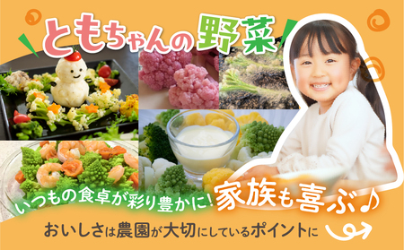 白カリフローレ　8個