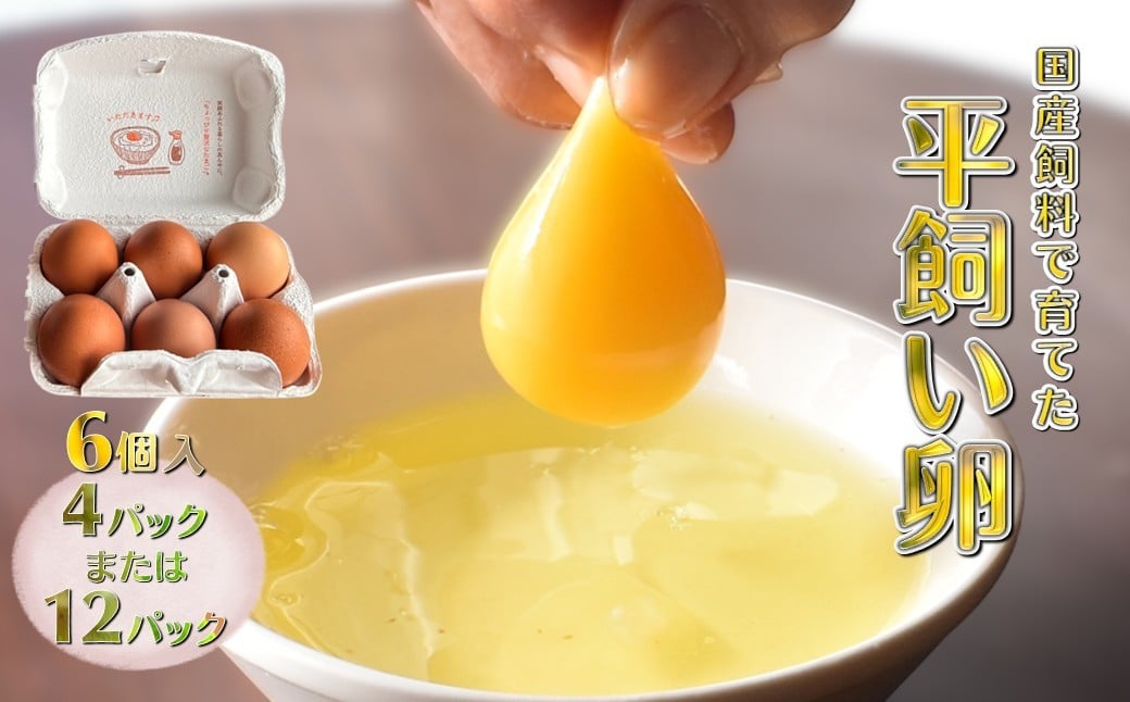 
            平飼い卵 新鮮たまご 産卵後2日以内に発送 養鶏場直送
          