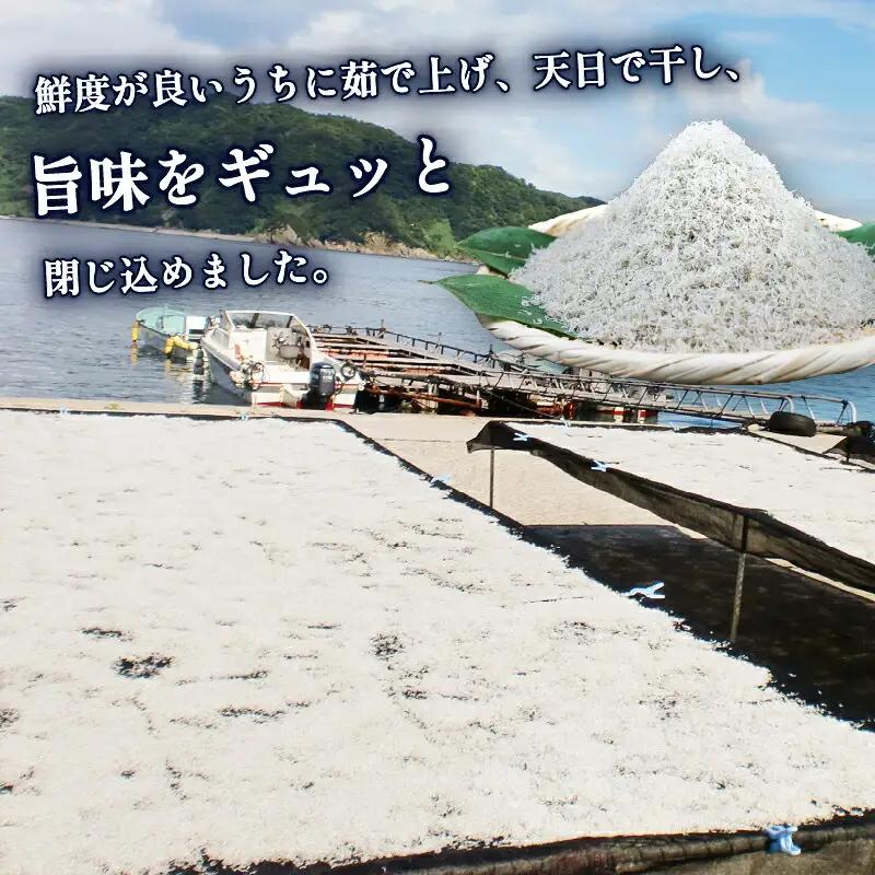 ちりめん 80g × 6袋 計 480g 時栄水産 しらす しらすしらす ちりめんちりめんちりめん D010-174002