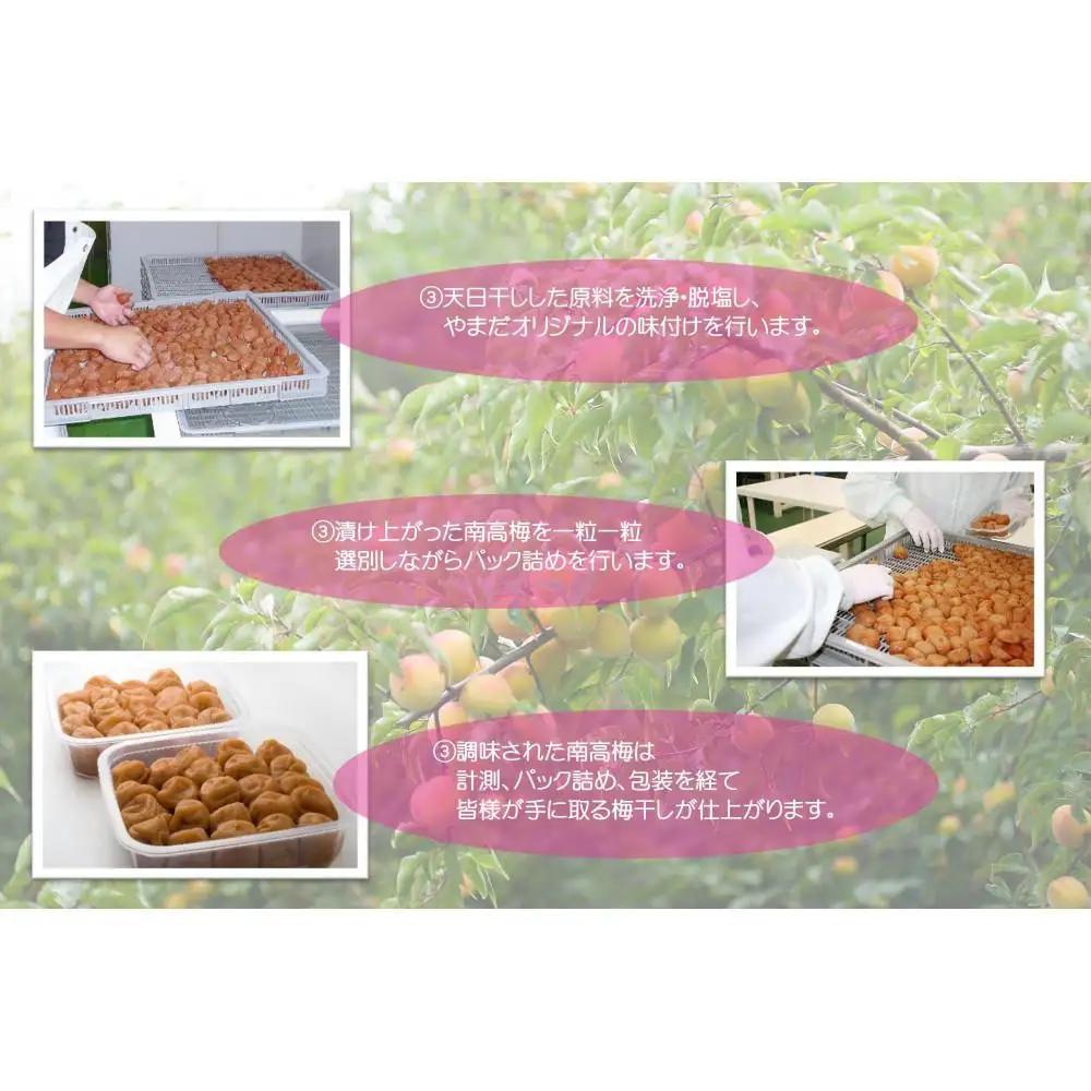 【定期便・3ヵ月毎 全3回】ご家庭用 紀州南高梅 しそ漬 つぶれ 700g×2 ［YM16］