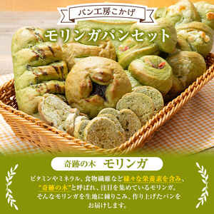 【P65001】大隅産モリンガパンハーフセット(計7個・7種各1個) もりんが ミラクルツリー スーパーフード パン 総菜パン ラスク 冷凍 詰め合わせ 朝食 手作り 美味しい【パン工房こかげ】