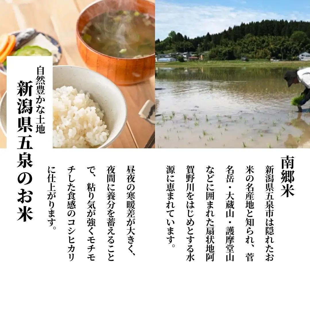 【先行予約】令和8年産 新米 コシヒカリ 玄米 南郷米 4kg(2kg×2袋) 特別栽培米【10月上旬発送開始】 | 新潟県産 米 五泉市