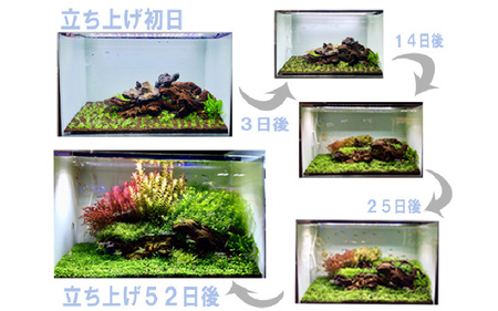 アクアテイラーズ 大地の恵み 育つソイル ８L（パウダー）〈エビ、淡水魚、その他多くの弱酸性を好む生体に最適〉