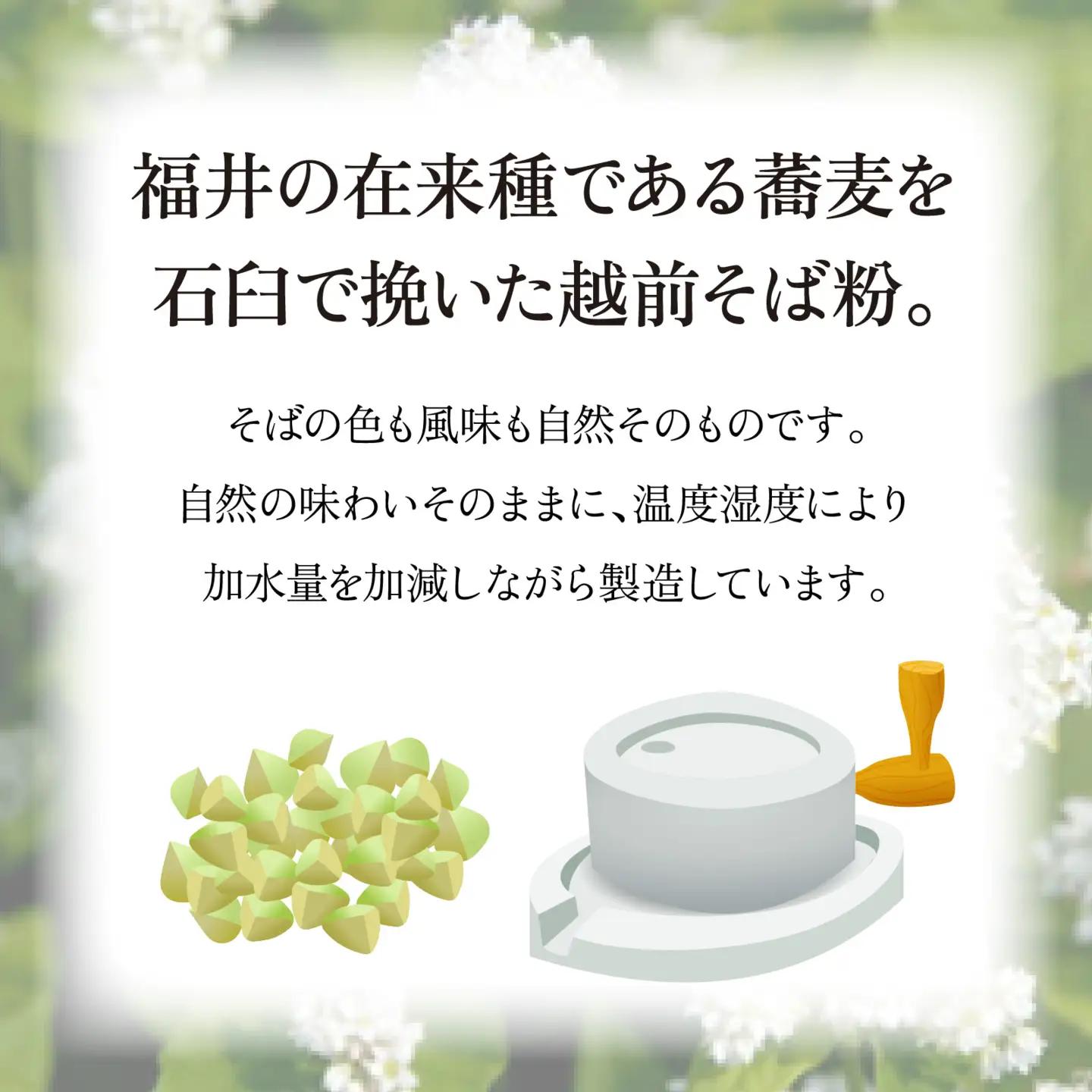 越前生そば 10食入（110g/1食）だし付 [A-067002] / そば そば