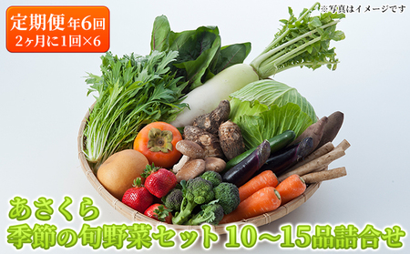 【定期便】 野菜セット 年6回 2か月に1回×6回 おまかせ 10～15種 野菜セット