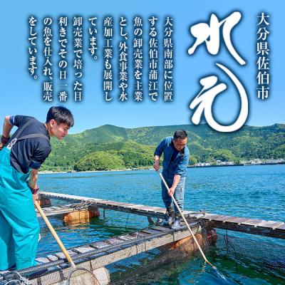 ふるさと納税 佐伯市 < 訳あり > 骨取り 白身魚 切身 (約400g・1袋) |  | 02