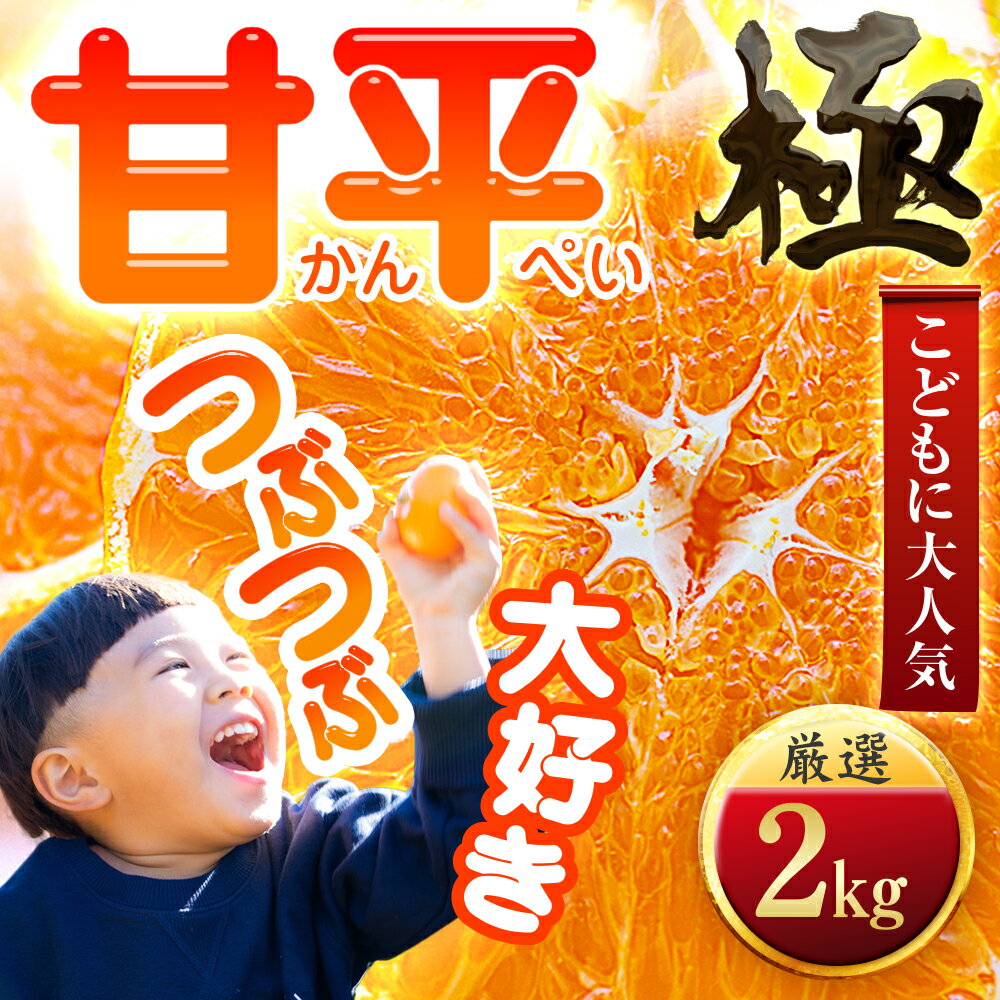 【ふるさと納税】【先行受付】【売切れ前に!】シャキシャキ甘い♪♪【甘平】 2kg / 3kg / 5kg / 10kg 愛媛県産 みかん ミカン 蜜柑 甘平 かんぺい くだもの フルーツ 甘い おいしい かんきつ 柑橘 柑橘類 希少 国産 愛媛県 八幡浜市 産地直送 送料無料 【G1509766】YWTZ055