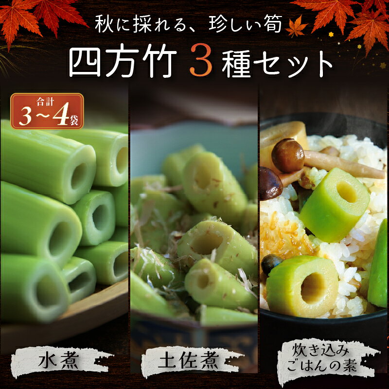 【ふるさと納税】 【9月までの受付限定】 国産 四方竹 づくし 3種セット 水煮 土佐煮 炊き込みごはんの素 3 ～ 4袋 (2026年11月～発送) | 筍 たけのこ 竹の子 タケノコ 先行予約 珍味 希少 煮物 炊き込みご飯 天ぷら 炒め物 鰹だし 醤油 簡単調理 常温 高知 南国市