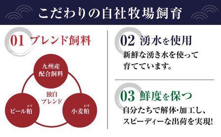 【6回定期便】 【純国産】熊本の味 「桜」 馬刺し 晩酌セット (赤身・ユッケ) 約250g タレ付【有限会社 九州食肉産業】[ZDQ145]