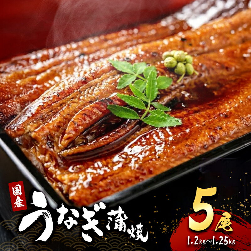 【ふるさと納税】「国産うなぎ蒲焼」5尾(1.2kg～1.25kg)　お届け：最大で1ヶ月程度かかる場合がございます。