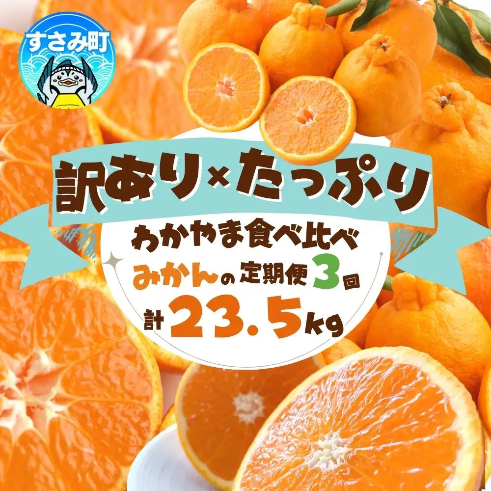 定期便【全3回/1・2・3月】みかん 定期便 訳あり×たっぷり 温州みかん 不知火 清見オレンジ【tkb113】