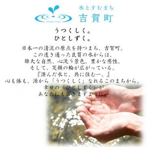 【返礼品なし】島根県吉賀町へ応援寄附　寄付のみ　吉賀町応援(1,000円)
