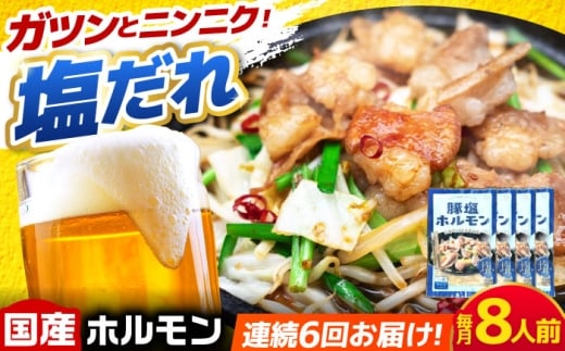 【6回定期便】岐阜県産豚もつの鉄板焼き「元祖みたけとんちゃん」豚塩味 4袋（8人前） / モツ もつ 白もつ ホルモン / 御嵩町 / 藤よし [AVAA062]