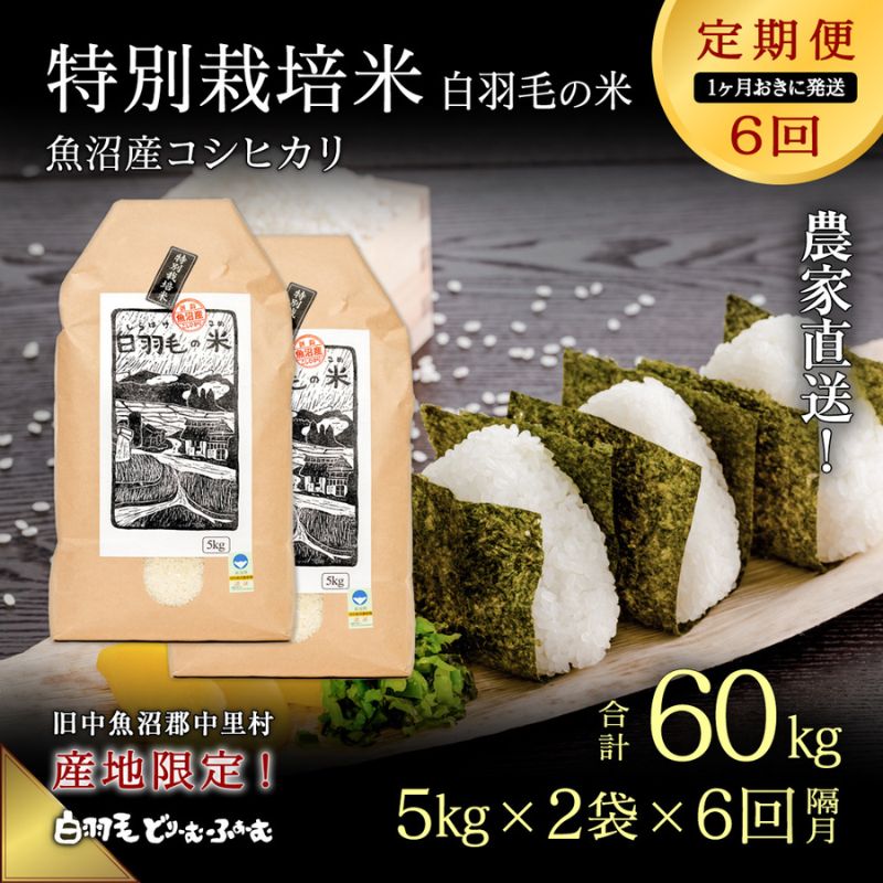 【ふるさと納税】【通年受付】≪令和7年産 ≫【定期便／1ヶ月おき全6回】農家直送！魚沼産コシヒカリ特別栽培「白羽毛の米」精米(5kg×2袋)×6回 60kg お米 白米 ご飯 　お届け：10月1日～発送開始。入金の翌月以降発送。1ヶ月おきに月全6回お届けいたします。