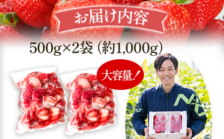 いちご あまおう 博多あまおう 暖家の冷凍いちご 苺 フルーツ 果物 くだもの 500g×2袋 1000g 1kg 冷凍あまおう 入賞 真空パック ヘタ処理済み IPM 福岡県 福岡 九州 グルメ お