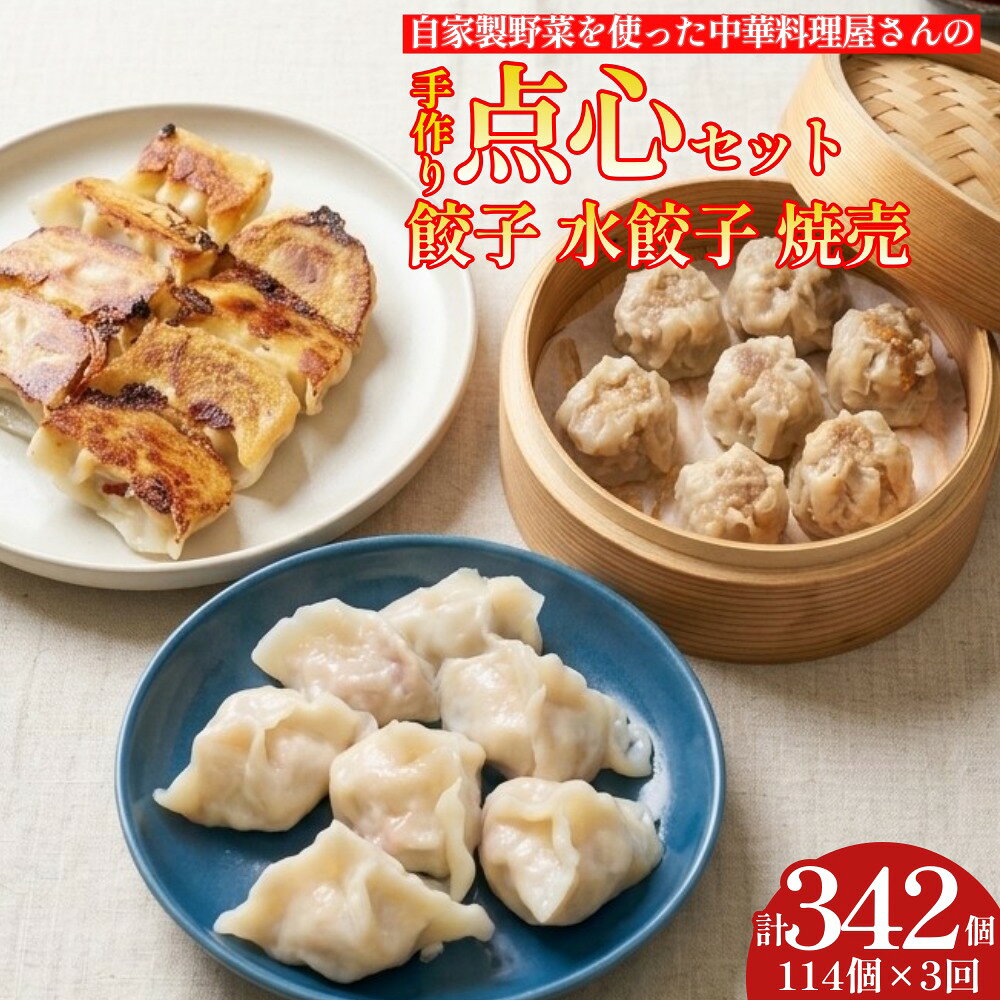 【ふるさと納税】【3ヶ月定期便】 自家製野菜を使った中華料理屋さんの手作り点心セット 3種 餃子・水餃子・焼売