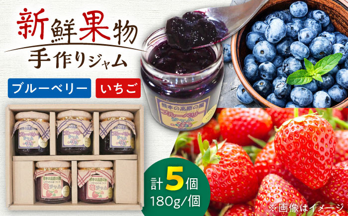 
            【お中元対象】ジャム 山都町有機栽培 ブルーベリー いちご 手作りジャム 5個セット　【MILKY-WAY】 [YDT001]
          