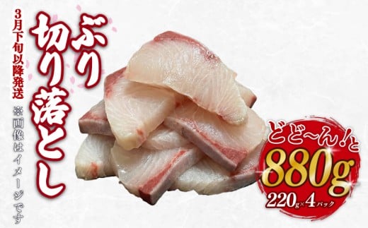 ブリ  切り落とし 880g 220g ×4パック 天然鰤 国産ぶり buri 産地直送 刺身 お刺身 漬け丼 茶漬け 冷凍 小分け 国産 刺身 刺し身 魚 魚介 国産 天然 三重 南伊勢町 伊勢 志摩 一万円 10000円 外湾漁業協同組合