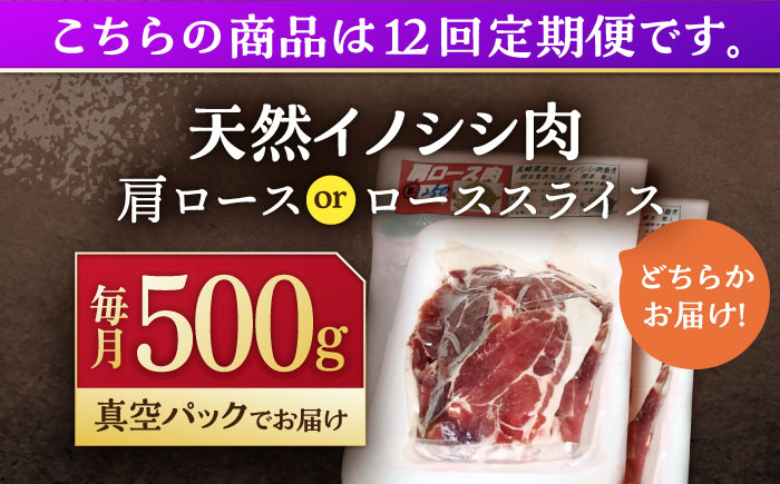 【12回定期便】ジビエ 天然イノシシ肉 肩ロース ＆ ロース スライス500g【照本食肉加工所】 [OAJ044]