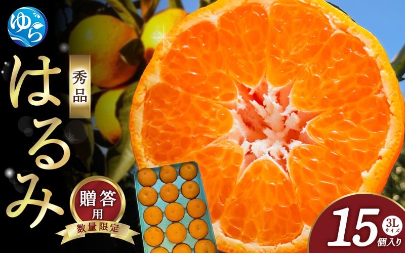 
            【来シーズン先行予約】はるみ 和歌山みかん 秀品 3Lサイズ 15個入り 贈答用※2026年1月中旬頃に順次発送予定 / はるみ 柑橘 贈り物 フルーツ 果物 くだもの 食品 人気 おすすめ 送料無料 由良町【ksmt016】
          