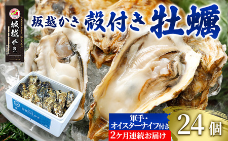 【2回定期便】 牡蠣 坂越かき 殻付き牡蠣 24個  カキ かき 海の幸 魚介 貝 【2026年3月上旬~4月下旬発送予定】