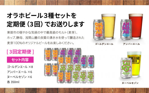 【3回定期便】オラホビール3種飲み比べ20本セット