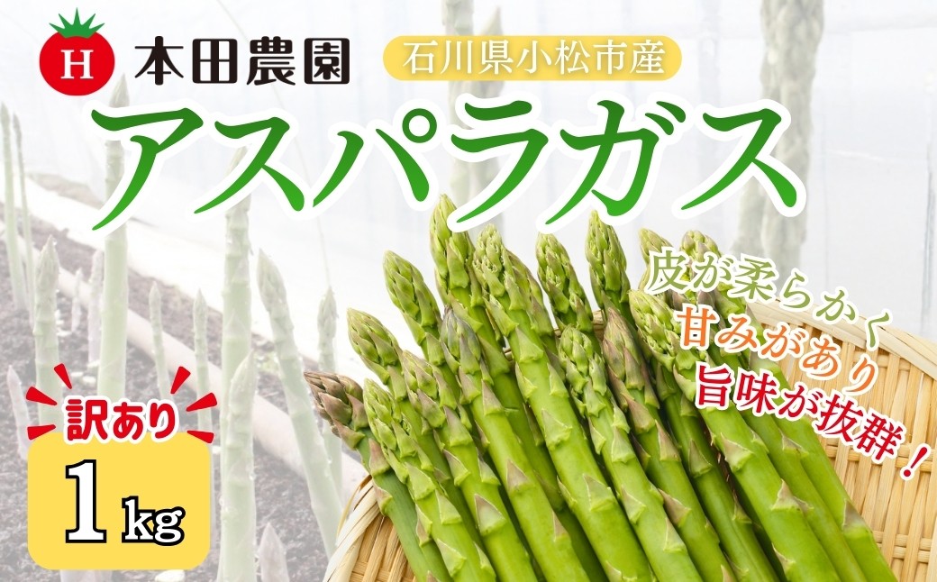 
                  【先行予約】アスパラガス 1kg (訳アリ) 野菜 訳あり アスパラ | 石川県 小松市 本田農園
                