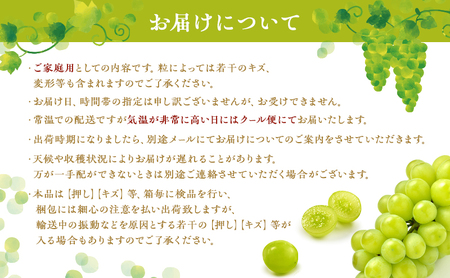 ぶどう 2024年 先行予約 ご家庭用 シャイン マスカット 2房 1房600g～700g 8月下旬～9月中旬発送分 ブドウ 葡萄 フルーツ 果物 岡山 赤磐市産 農マル園芸 あかいわ農園