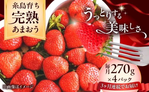 【先行受付】【全3回定期便】福岡県 糸島市産 完熟 あまおう いちご （約270g×4パック） 【2027年3月以降順次発送】 糸島市 / mhshops / 苺 イチゴ   定期便 果物   [AKQ005]