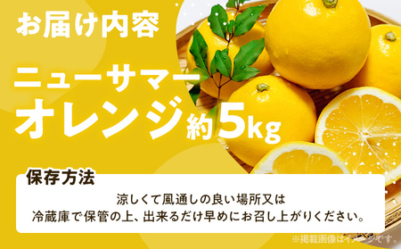 期間限定 ニューサマーオレンジ 日向夏 オレンジ フルーツ 果物 くだもの 選べる 5kg 柑橘 甘い 濃厚 ジューシー 産地直送 デザート おやつ 福岡県 福岡 九州 グルメ お取り寄せ 【4月上旬
