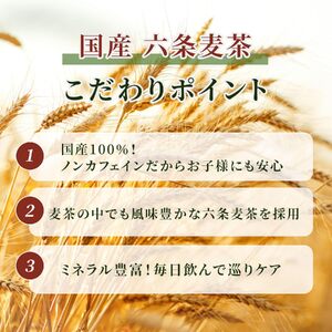 麦茶 ティーバッグ 100パック 麦茶