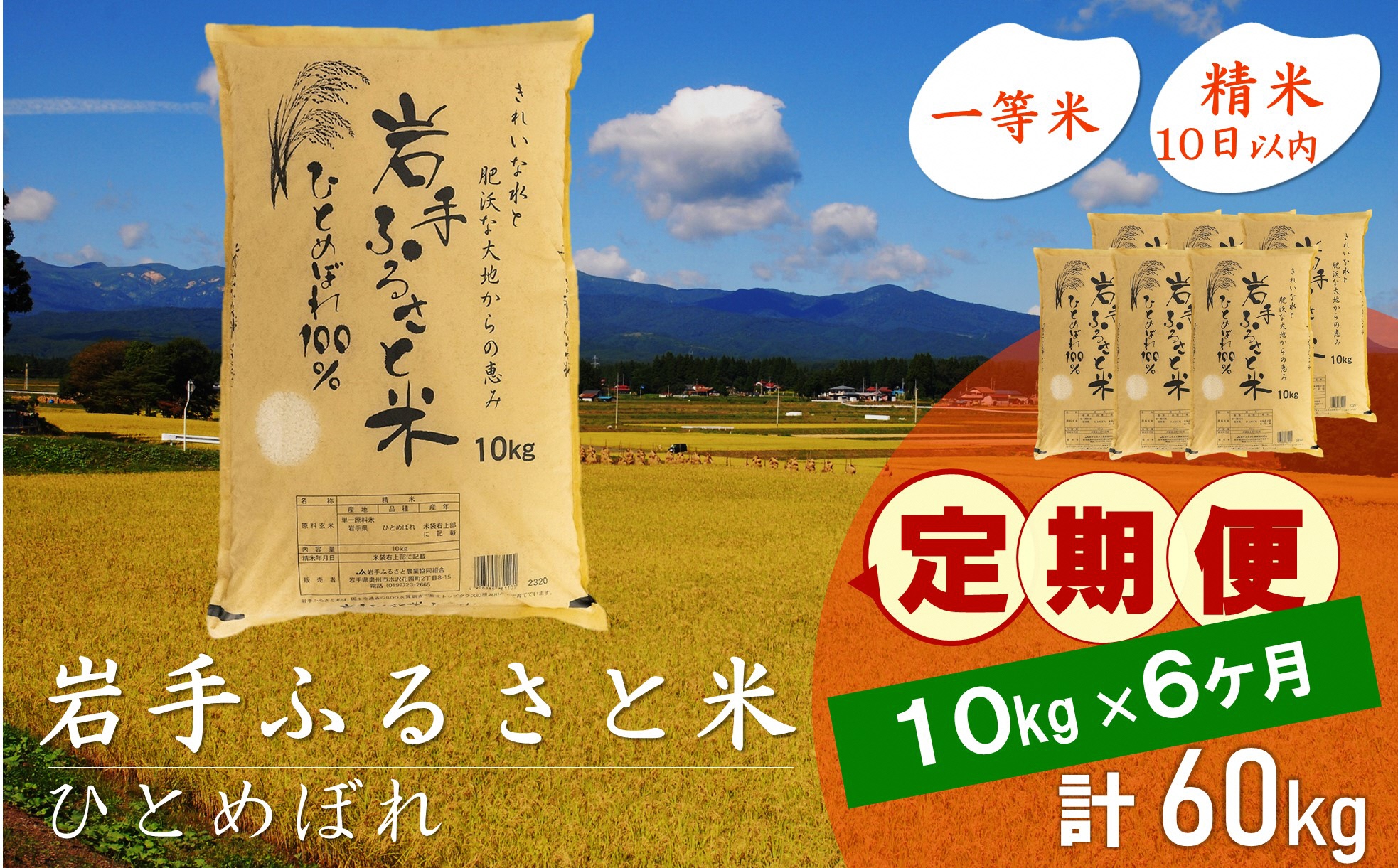 3人に1人がリピーター!☆全6回定期便☆ 岩手ふるさと米 10kg×6ヶ月 令和6年産 一等米ひとめぼれ 東北有数のお米の産地 岩手県奥州市産【配送時期に関する変更不可】 [U0153]